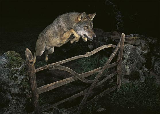 Вот так фокус - Foto 3
